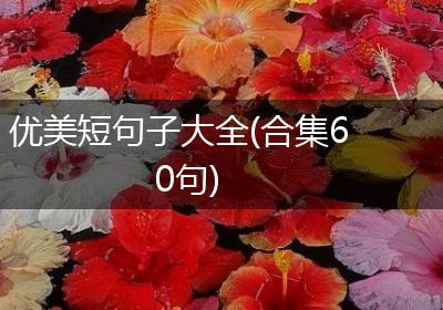 优美短句子大全(合集60句)
