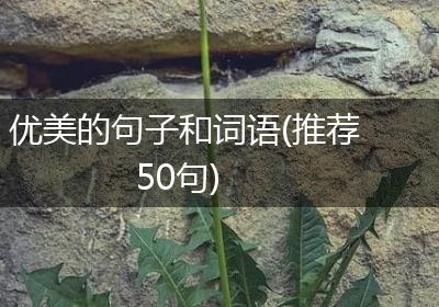 优美的句子和词语(推荐50句)