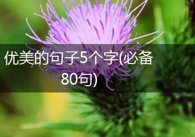 优美的句子5个字(必备80句)