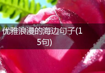 优雅浪漫的海边句子(15句)