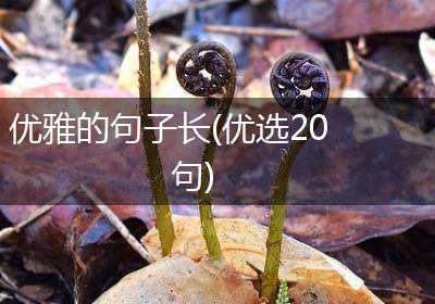 优雅的句子长(优选20句)