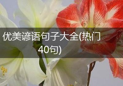 优美谚语句子大全(热门40句)
