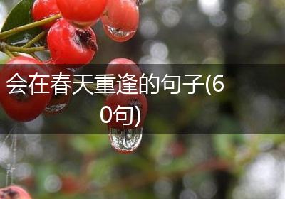 会在春天重逢的句子(60句)