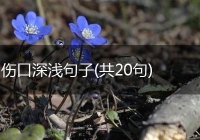 伤口深浅句子(共20句)