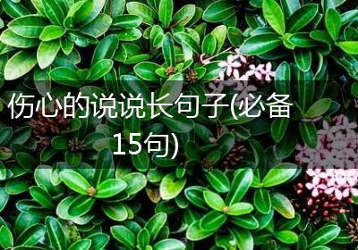 伤心的说说长句子(必备15句)