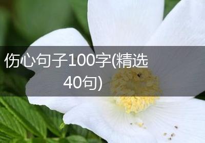 伤心句子100字(精选40句)