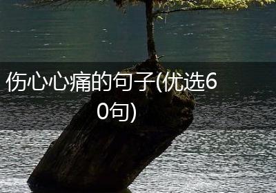 伤心心痛的句子(优选60句)