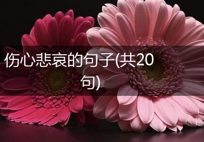 伤心悲哀的句子(共20句)