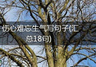 伤心难忘生气写句子(汇总18句)