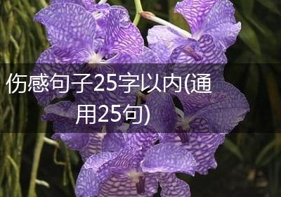 伤感句子25字以内(通用25句)