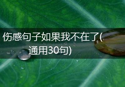 伤感句子如果我不在了(通用30句)