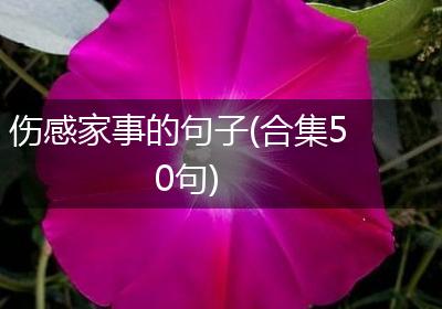 伤感家事的句子(合集50句)