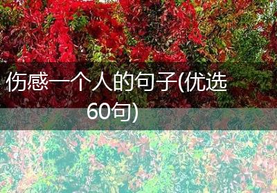 伤感一个人的句子(优选60句)