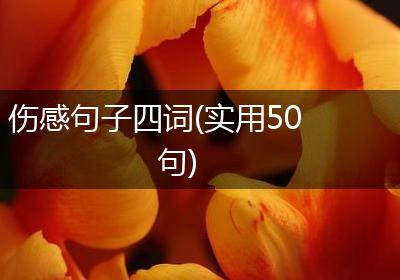伤感句子四词(实用50句)