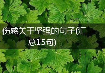 伤感关于坚强的句子(汇总15句)
