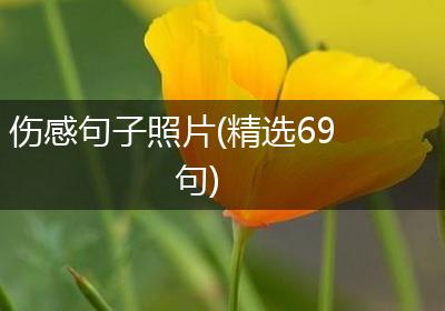伤感句子照片(精选69句)