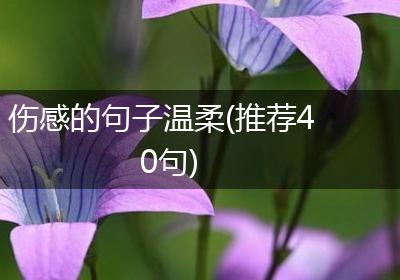 伤感的句子温柔(推荐40句)