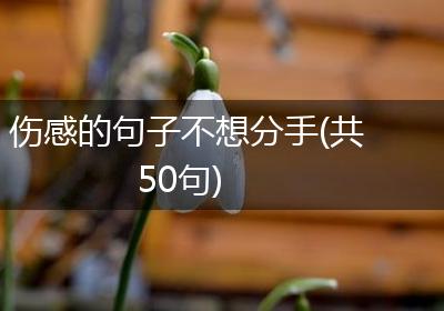 伤感的句子不想分手(共50句)