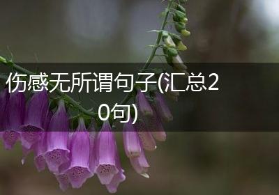 伤感无所谓句子(汇总20句)