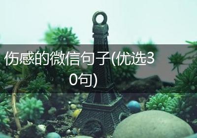 伤感的微信句子(优选30句)