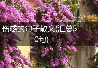 伤感的句子散文(汇总50句)