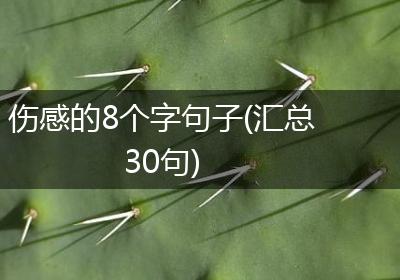 伤感的8个字句子(汇总30句)
