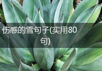 伤感的雪句子(实用80句)