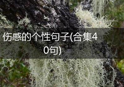 伤感的个性句子(合集40句)