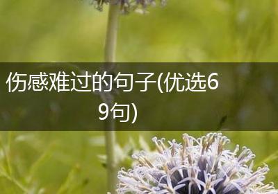 伤感难过的句子(优选69句)
