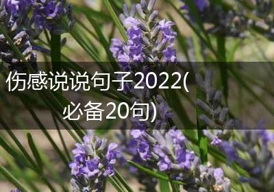 伤感说说句子2022(必备20句)