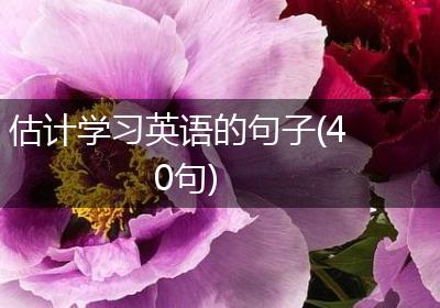 估计学习英语的句子(40句)
