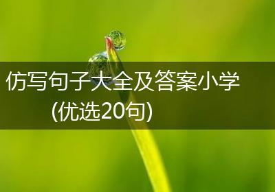 仿写句子大全及答案小学(优选20句)