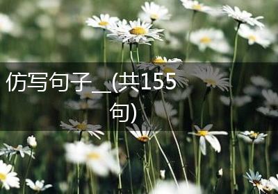 仿写句子__(共155句)