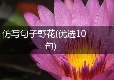 仿写句子野花(优选10句)