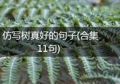 仿写树真好的句子(合集11句)