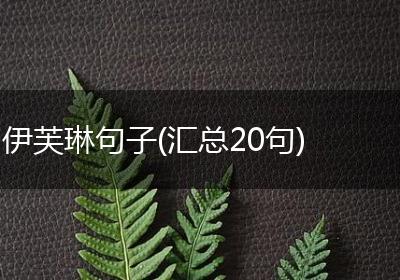 伊芙琳句子(汇总20句)