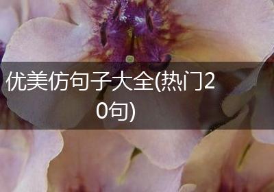 优美仿句子大全(热门20句)