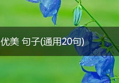优美 句子(通用20句)