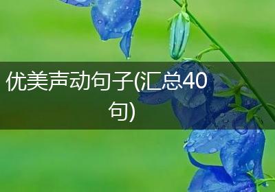 优美声动句子(汇总40句)