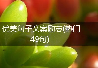 优美句子文案励志(热门49句)