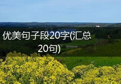 优美句子段20字(汇总20句)