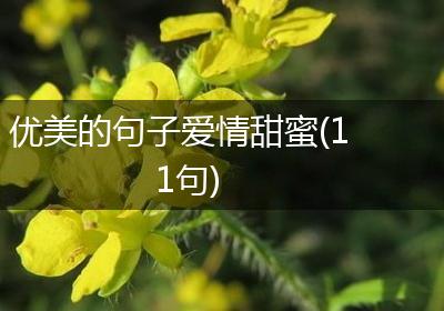 优美的句子爱情甜蜜(11句)