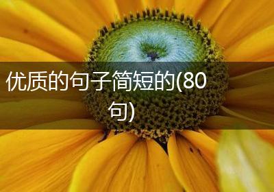 优质的句子简短的(80句)