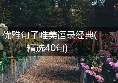 优雅句子唯美语录经典(精选40句)