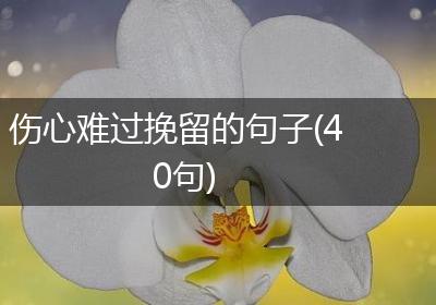 伤心难过挽留的句子(40句)