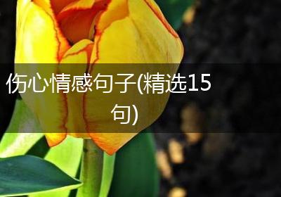 伤心情感句子(精选15句)
