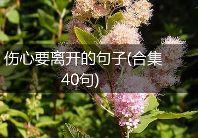 伤心要离开的句子(合集40句)