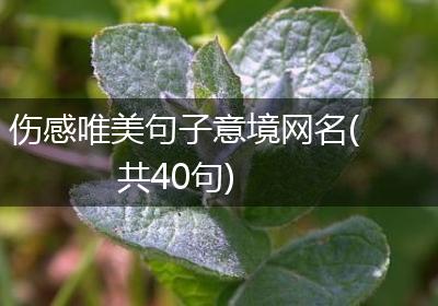 伤感唯美句子意境网名(共40句)