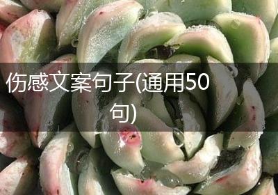 伤感文案句子(通用50句)