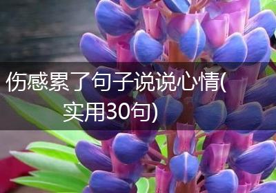 伤感累了句子说说心情(实用30句)